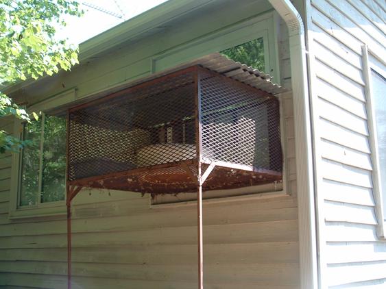 Custom fabricated enclosure for cat lover